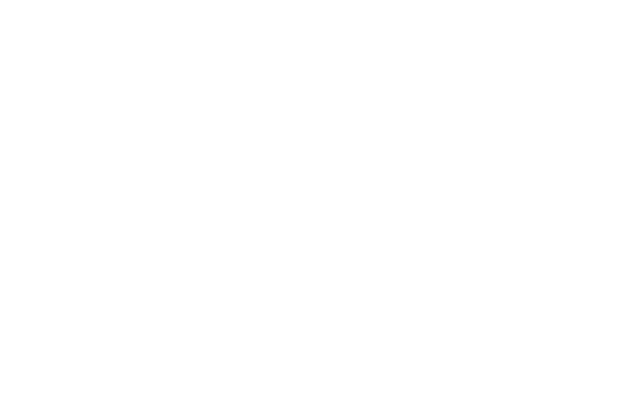 Aviation Company In US